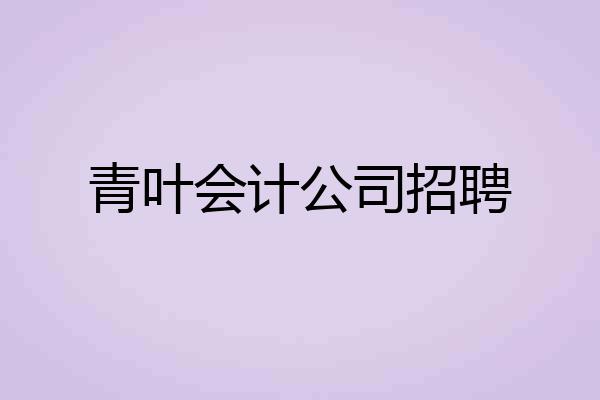 青叶会计公司招聘