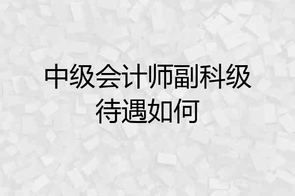 中级会计师副科级待遇如何