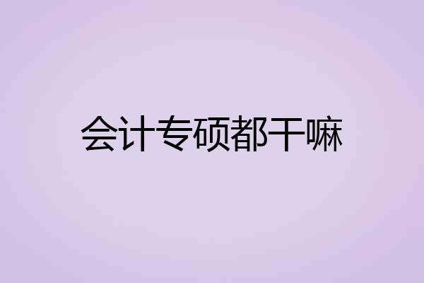 会计专硕都干嘛