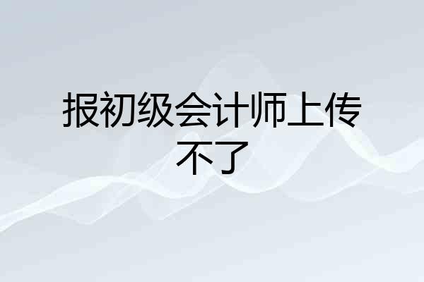 报初级会计师上传不了