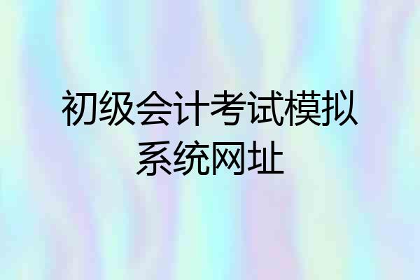 初级会计考试模拟系统网址