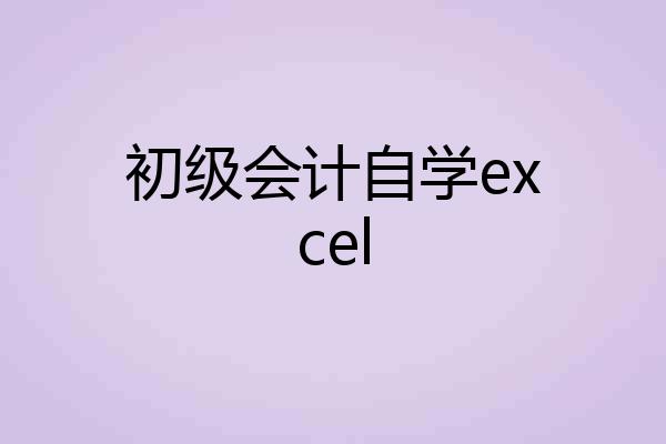 初级会计自学excel