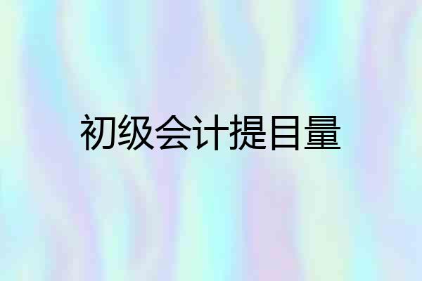 初级会计提目量