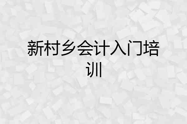 新村乡会计入门培训