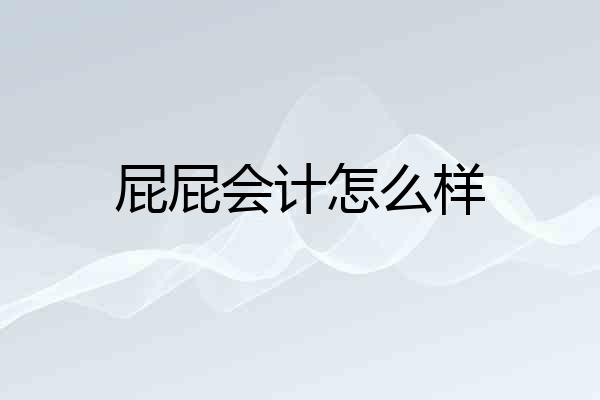 屁屁会计怎么样