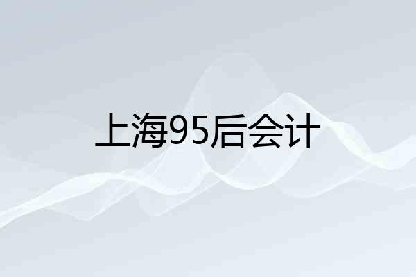 上海95后会计