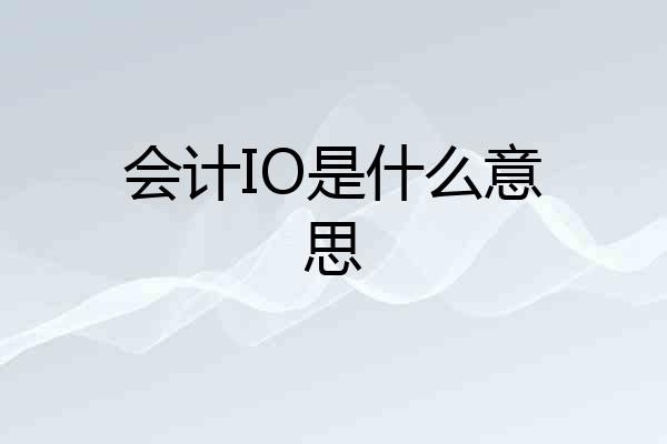 会计IO是什么意思