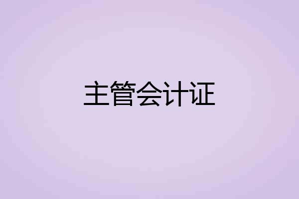 主管会计证