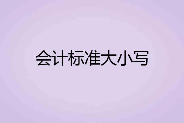 会计标准大小写