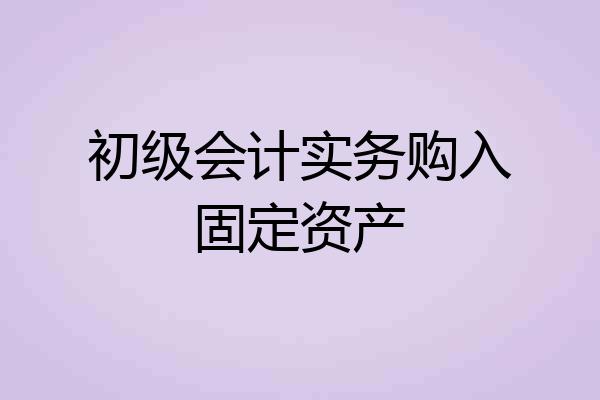 初级会计实务购入固定资产