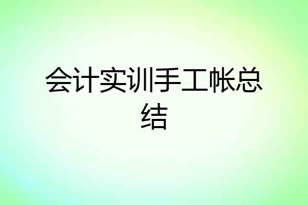 会计实训手工帐总结