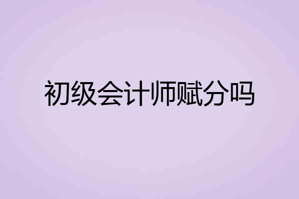 初级会计师赋分吗