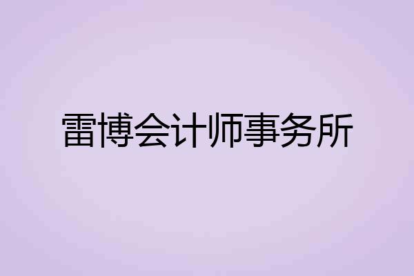 雷博会计师事务所