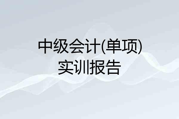 中级会计(单项)实训报告