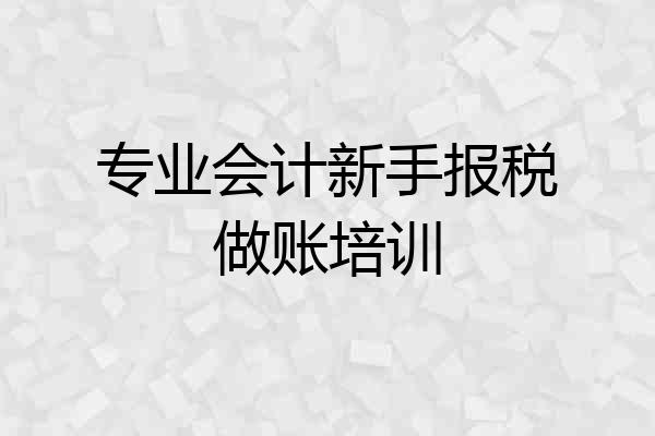 专业会计新手报税做账培训