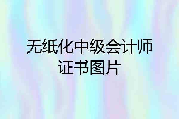 无纸化中级会计师证书图片