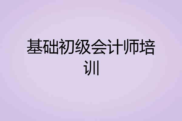 基础初级会计师培训