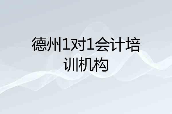 德州1对1会计培训机构