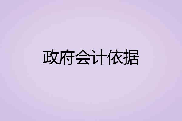 政府会计依据