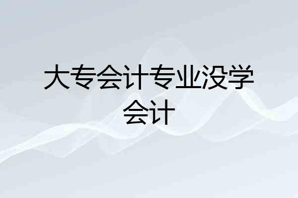 大专会计专业没学会计