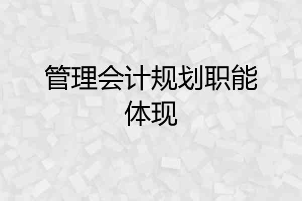 管理会计规划职能体现