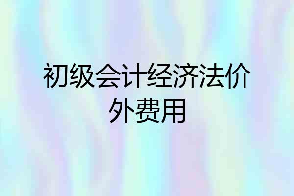 初级会计经济法价外费用