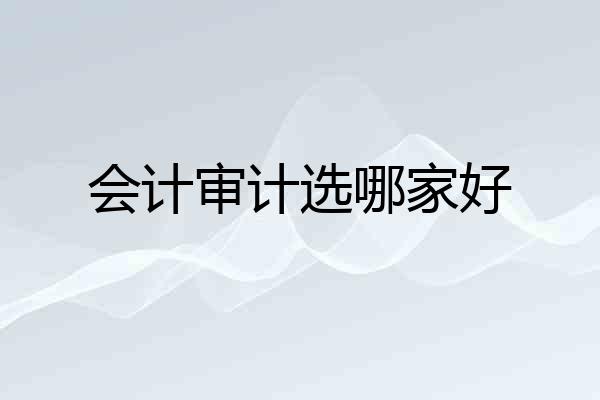会计审计选哪家好