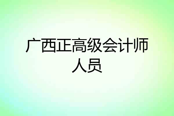 广西正高级会计师人员