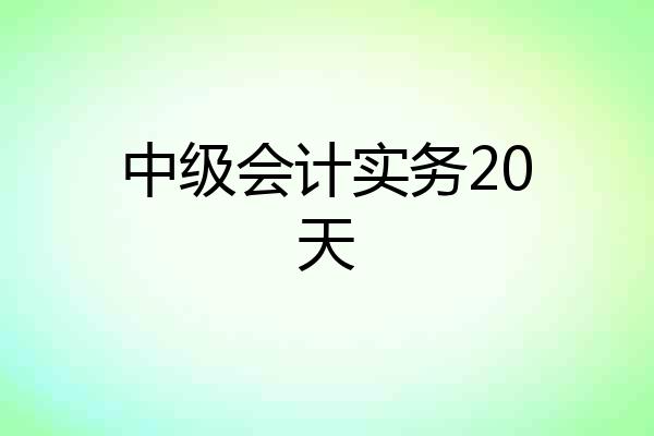 中级会计实务20天