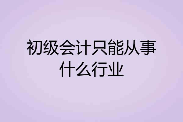 初级会计只能从事什么行业