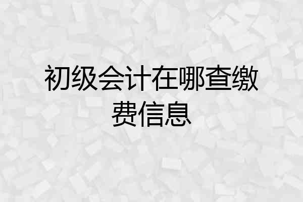 初级会计在哪查缴费信息