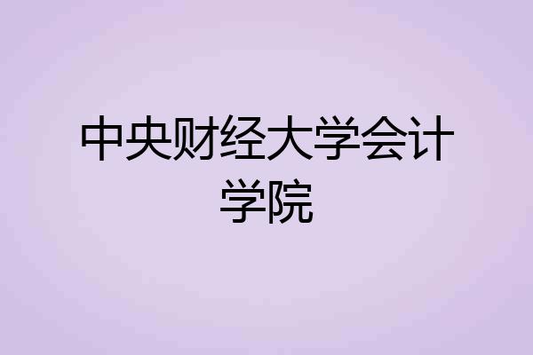 中央财经大学会计学院