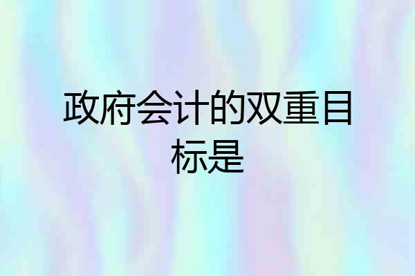 政府会计的双重目标是