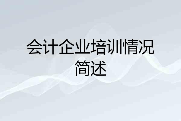 会计企业培训情况简述