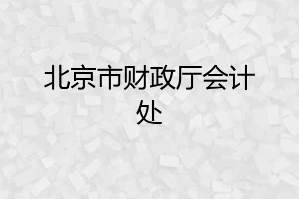 北京市财政厅会计处