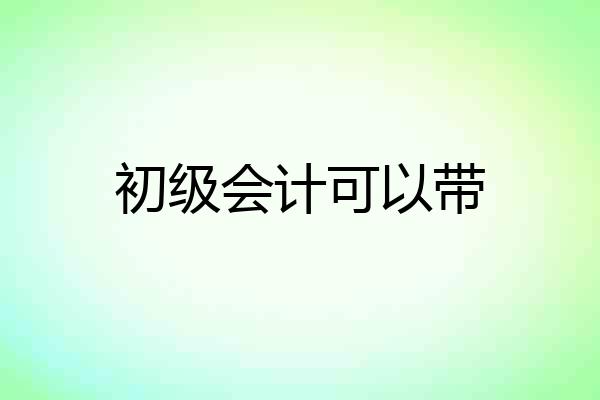 初级会计可以带