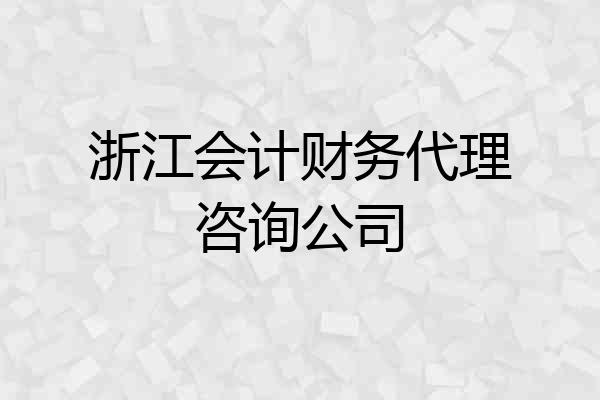 浙江会计财务代理咨询公司