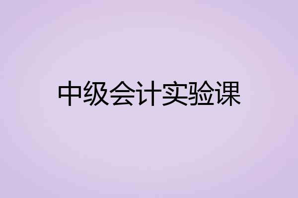 中级会计实验课