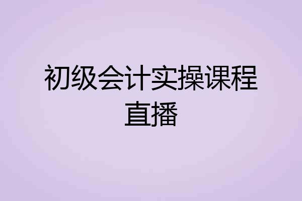 初级会计实操课程直播
