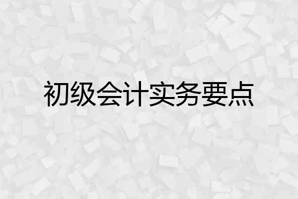 初级会计实务要点