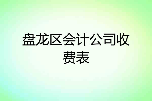 盘龙区会计公司收费表
