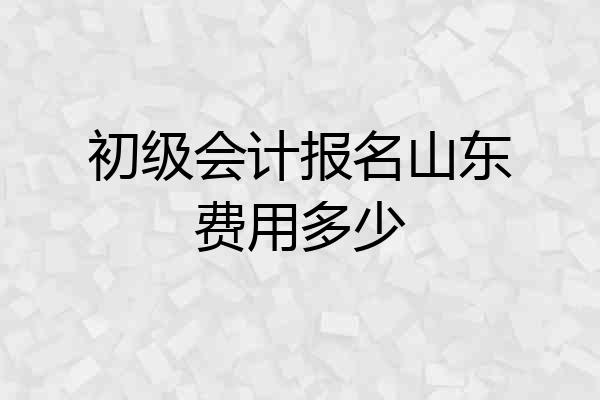 初级会计报名山东费用多少