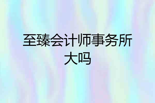 至臻会计师事务所大吗