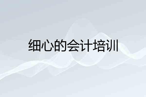 细心的会计培训