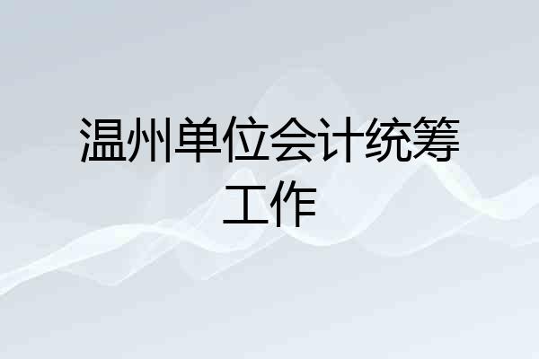 温州单位会计统筹工作