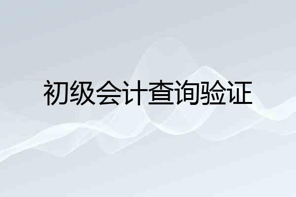 初级会计查询验证