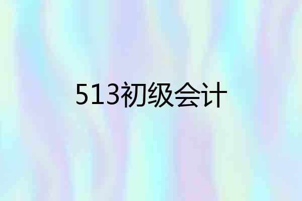 513初级会计