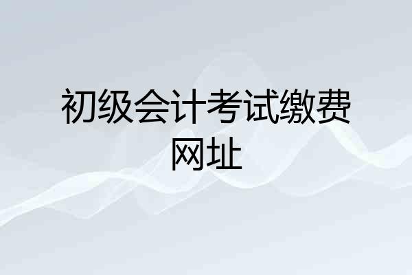 初级会计考试缴费网址