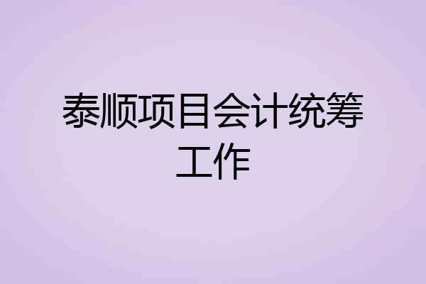 泰顺项目会计统筹工作
