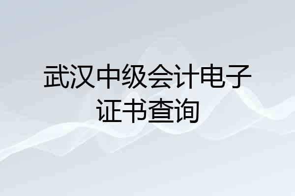 武汉中级会计电子证书查询